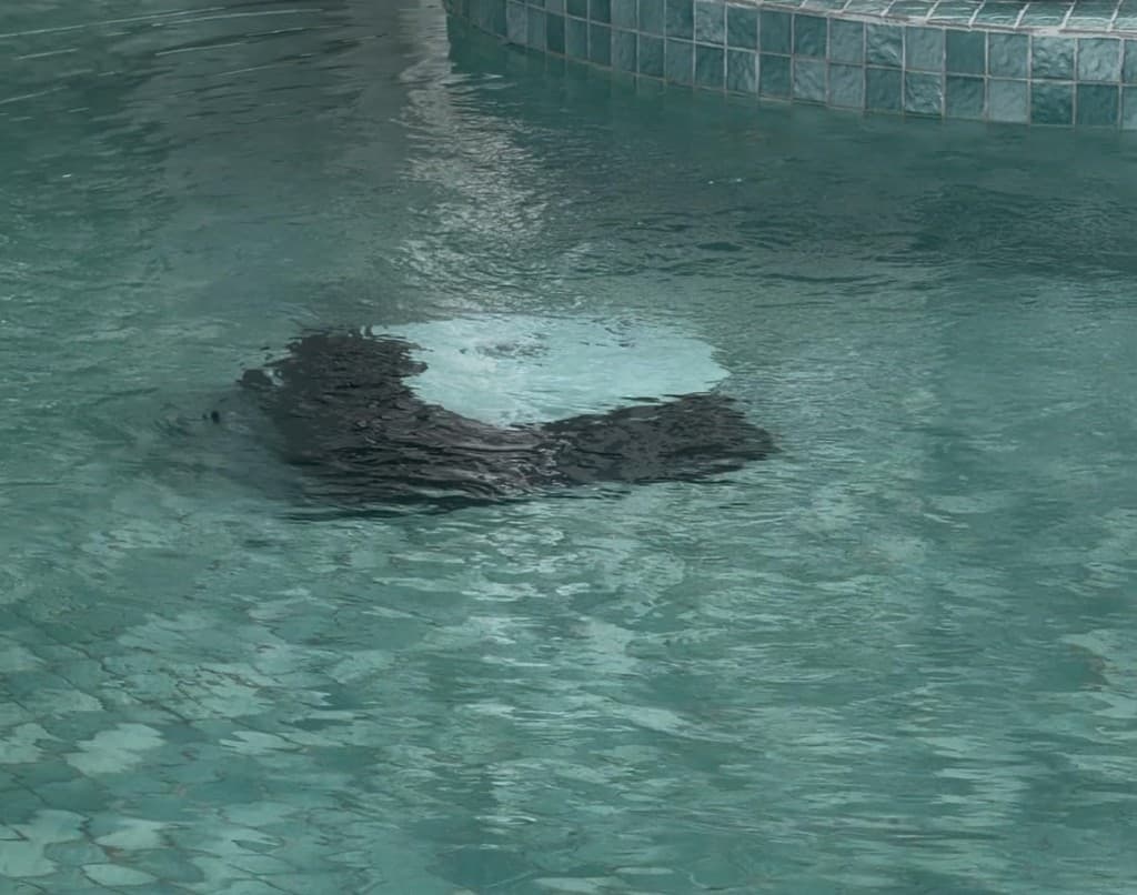 Beatbot Sora 10 robotic pool cleaner working underwater on the pool floor